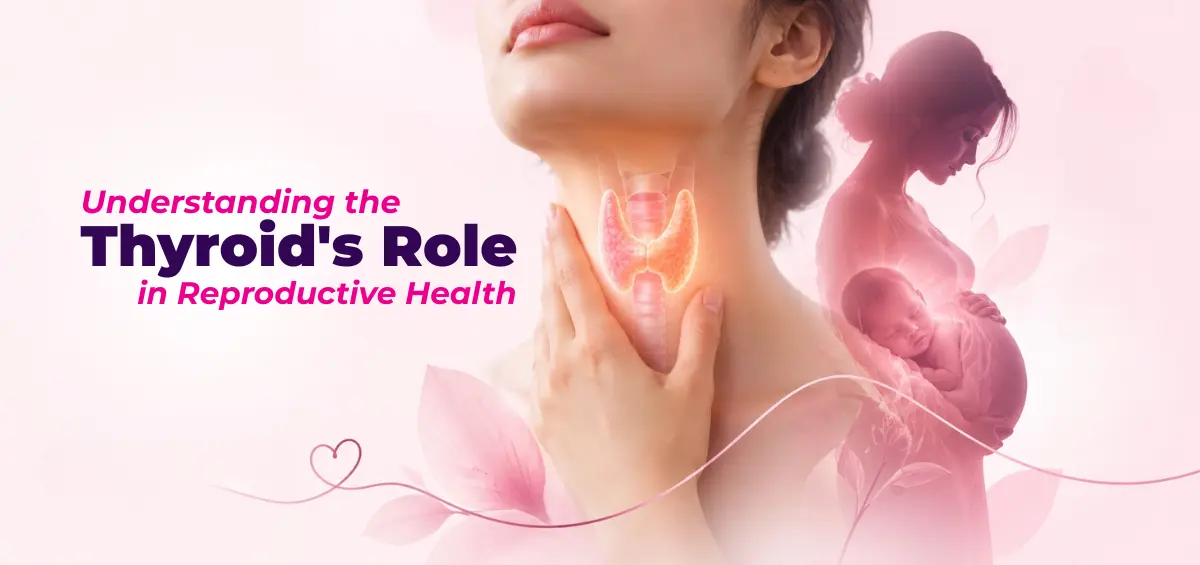 Understanding the Thyroids Role in Reproductive Health 